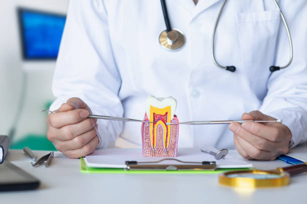 Best Emergency Dental Care for Broken or Chipped Teeth in North Catasauqua, PA